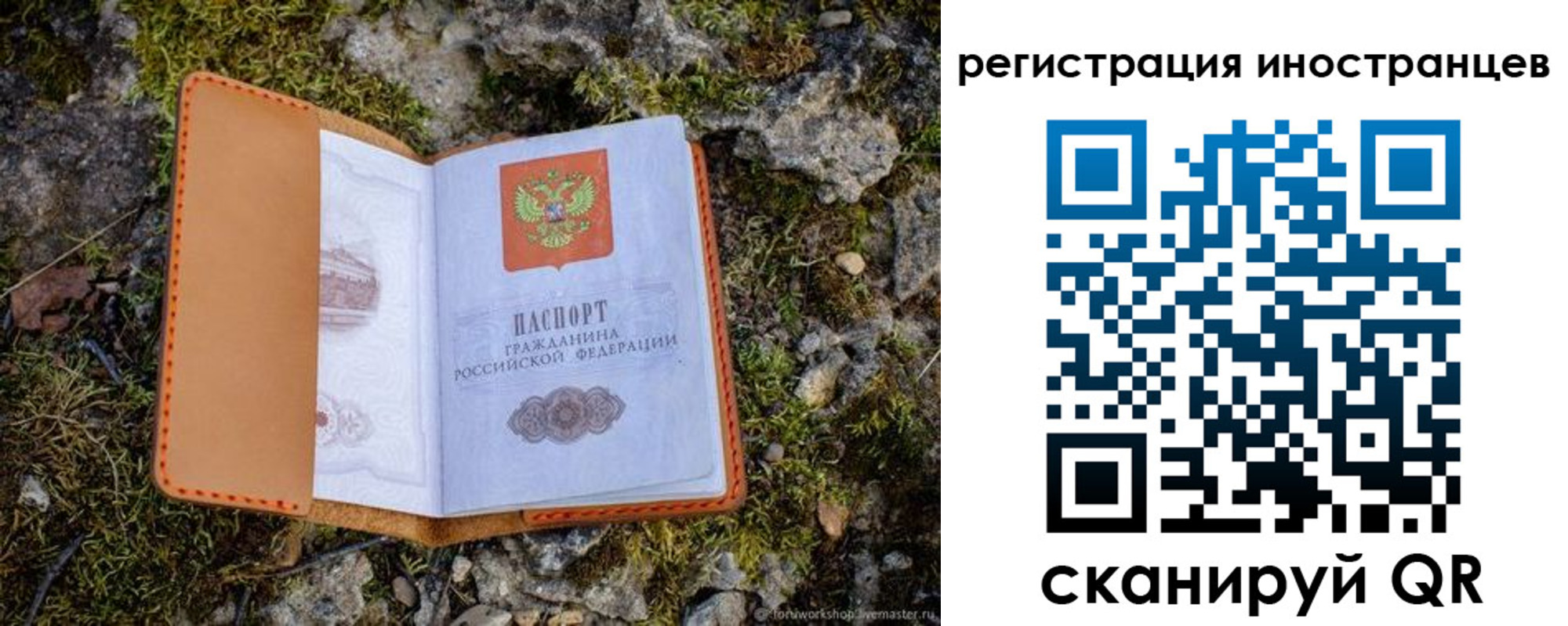 прописка паспорт в Лисках